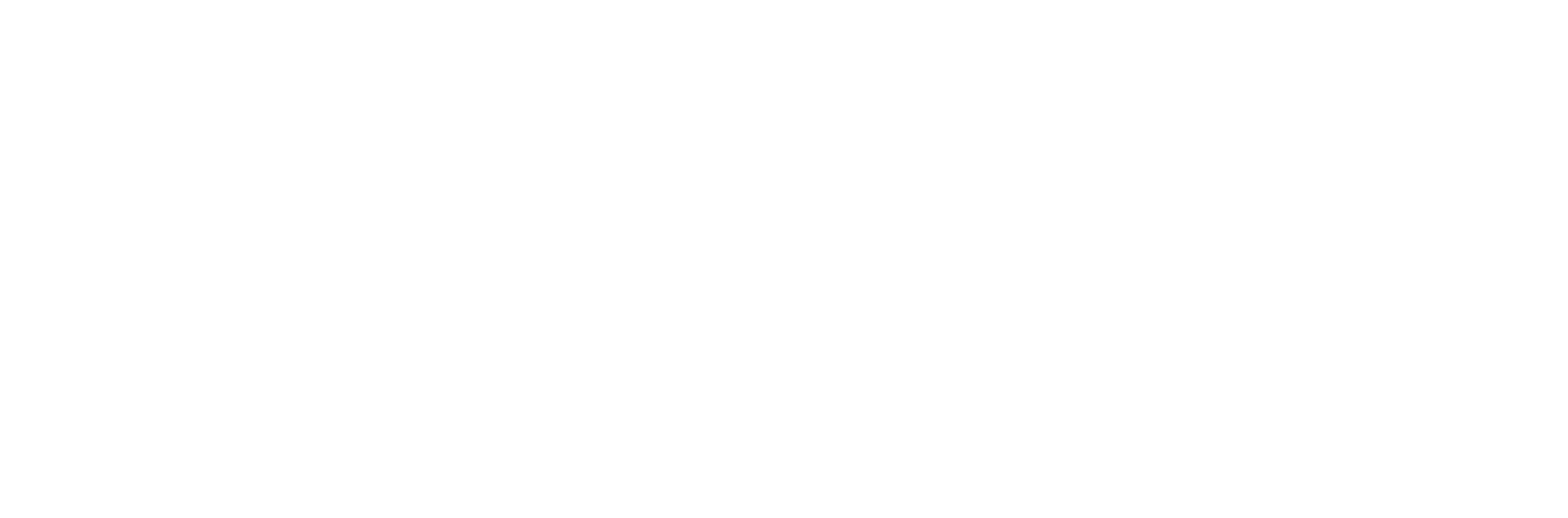 Pallet de Plástico